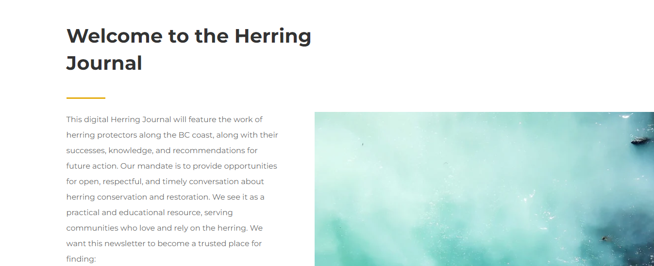 Welcome to the Herring Journal<br />
This digital Herring Journal will feature the work of herring protectors along the BC coast, along with their successes, knowledge, and recommendations for future action. Our mandate is to provide opportunities for open, respectful, and timely conversation about herring conservation and restoration. We see it as a practical and educational resource, serving communities who love and rely on the herring. We want this newsletter to become a trusted place for finding: 