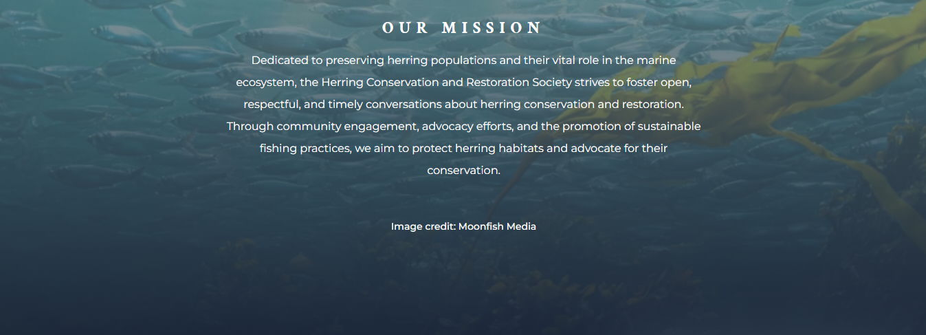 Image: OUR MISSION<br />
Dedicated to preserving herring populations and their vital role in the marine ecosystem, the Herring Conservation and Restoration Society strives to foster open, respectful, and timely conversations about herring conservation and restoration.