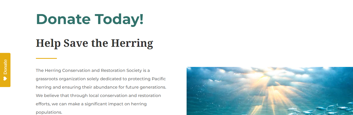 Image: Donate Today!<br />
Help Save the Herring<br />
The Herring Conservation and Restoration Society is a grassroots organization solely dedicated to protecting Pacific herring and ensuring their abundance for future generations. We believe that through local conservation and restoration efforts, we can make a significant impact on herring populations.