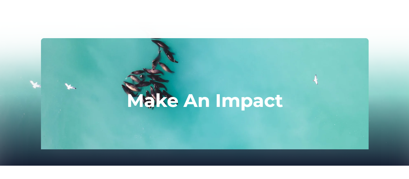 Image: "Make an Impact" over a photo of a pod of sea lions in the clear blue ocean. 